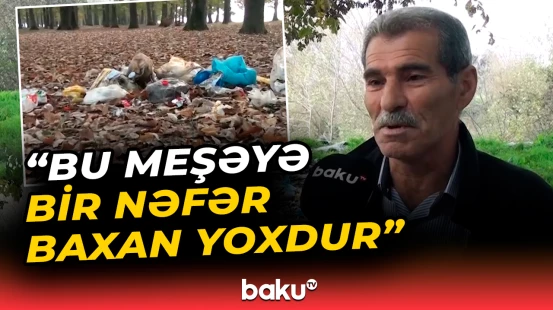 Masallıda aylardır hökm sürən problem "Baku TV"nin çəkilişindən sonra həll olundu - Baku TV