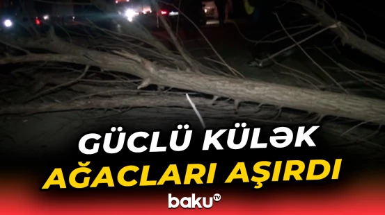 Yevlaxda güclü külək fəsadlara səbəb oldu