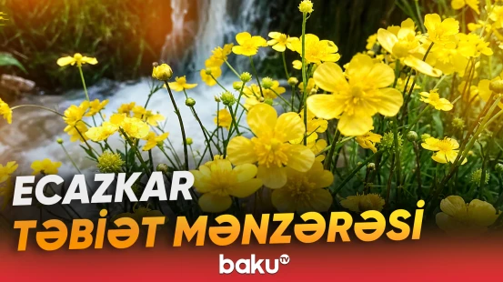 Oğuzun ecazkar təbiət mənzərəsi