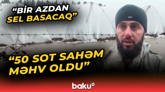 Cəlilabadda əkin sahələri suyun altında qaldı | Yağış suları Göytəpəni cənginə alıb - Baku TV