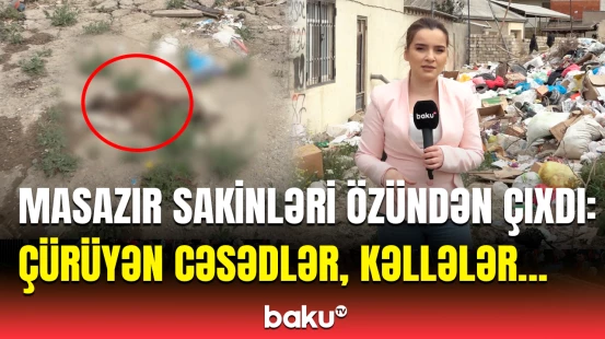 Masazırda sakinlərin həyatı niyə cəhənnəmə çevrilib? - “Gəlib deyirlər ki, pul ver!”