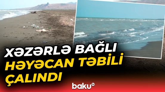 Xəzər dənizindəki böyük təhlükə getdikcə artır