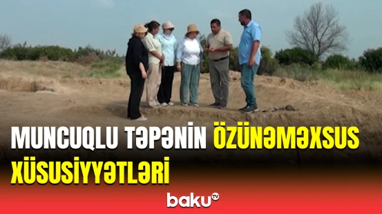 Tatarlı kəndində Neolit dövrünə aid maddi-mədəniyyət nümunələri aşkarlanıb