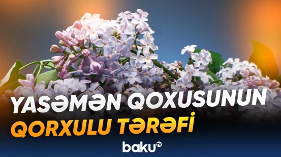 Yasəmən üçün ürəyi gedənləri üzəcək xəbər