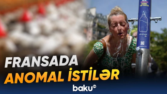 Kənd təsərrüfatına ciddi ziyan dəydi
