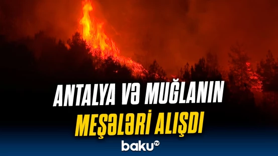 Yanğınsöndürənlər Alanya ilə Milasdakı alovun qarşısını almağa çalışırlar