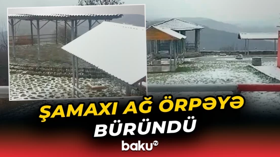 Şamaxı ağ örpəyə büründü
