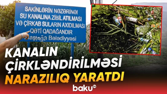 Sakinlər sahibsiz küçə itlərindən də şikayət edir
