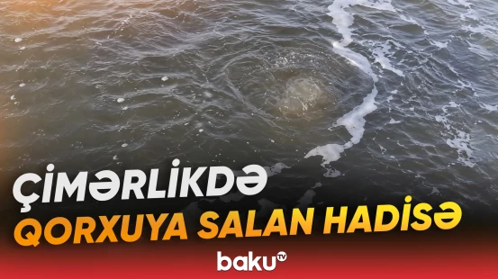Ekoloq Xəzər dənizində yaşanan qəribə hadisədən danışdı