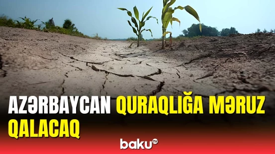 Qlobal iqlim dəyişikliyinin ciddi fəsadları olacaq