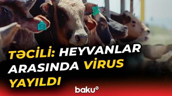 Səhiyyə Nazirliyindən əhaliyə vacib xəbərdarlıq