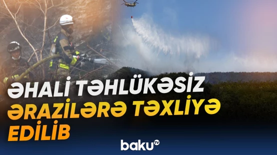 Yaponiyada meşə yanğınları tüğyan edir