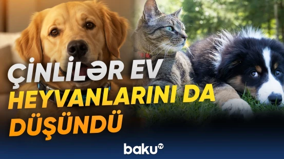 “10 min sifariş artıq verilib” | Çinlilərdən inqilabi kəşf