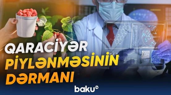 Çin alimlərindən moruğun faydası ilə bağlı vacib tədqiqat