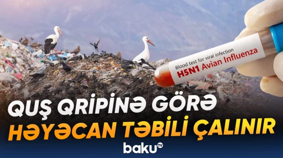 Avstraliyada aparılan testlər və genetik analizlər müsbət çıxıb