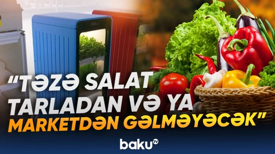 Avtomatlaşdırılmış "ağıllı ferma" yaradılıb