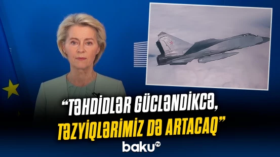 Aİ-dən üzv dövlətlərə dəstək vədi