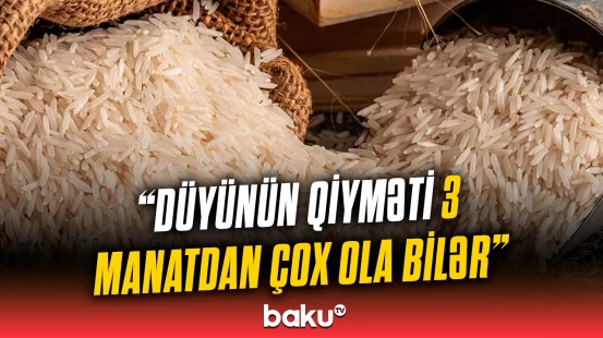 İntensiv yağan yağış çəltik əkən fermerləri çətin vəziyyətə saldı