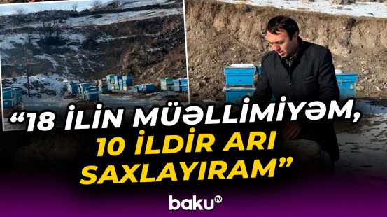 "Kəlbəcərdəki balın artımı buna görə çoxdur" | Arıçılıqla məşğul olan müəllim - Baku TV
