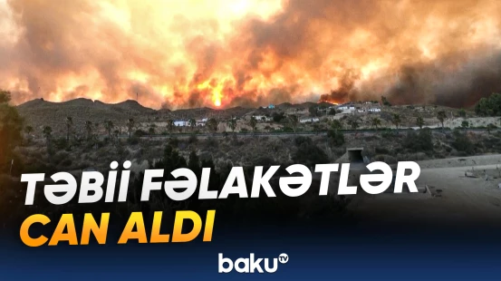 Meşə yanğını, torpaq sürüşməsi və tayfun fəsadlar yaratdı