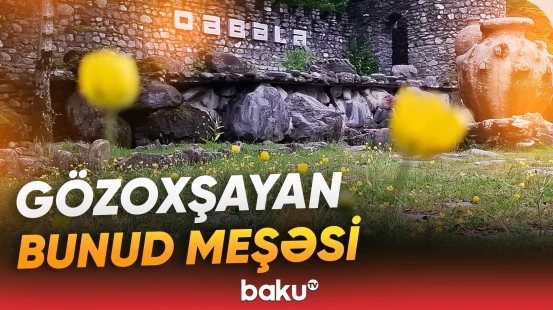 Qəbələdən heyrətamiz təbiət görüntüləri