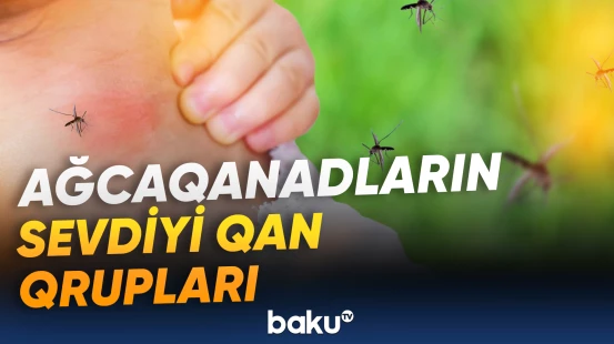 Ağcaqanadların diqqətini daha çox kimlər cəlb edir?