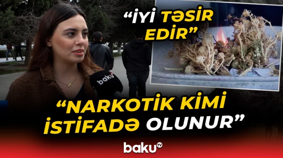 "Mənə görə, absurd bir şeydir" | Üzərlik bitkisi ilə bağlı vacib xəbərdarlıq - Baku TV