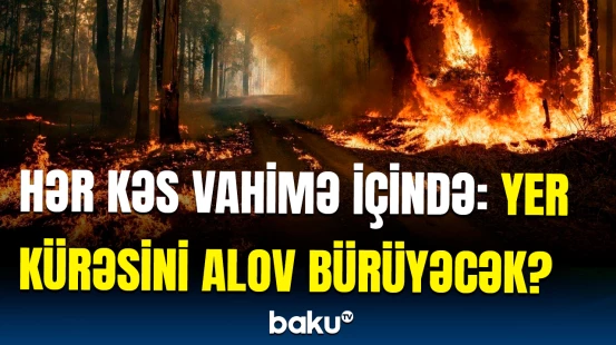 Dünyanın ən böyük tropik meşəsi təhlükə altındadır | Dəhşətli statistika açıqlandı