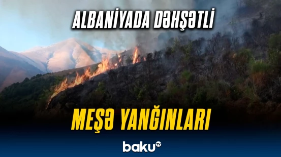 Albaniyada meşə yanğınları ölkəni cənginə aldı