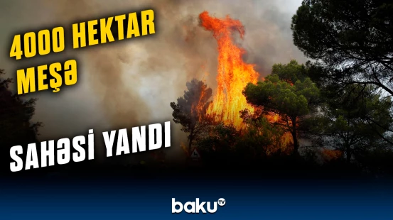 İspaniyada meşə yanğınları daha da şiddətləndi