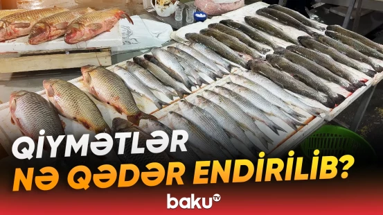 2027-ci ildə balıq məhsullarına subsidiyalar ayrılacaq