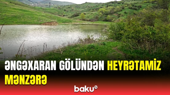 Şamaxıdan təbiət mənzərəsi | Əngəxaran gölündən gözoxşayan görüntülər