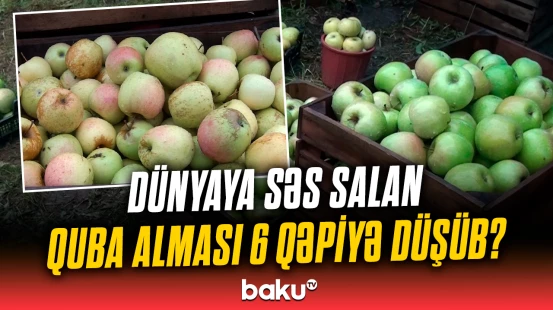 ”18 min ziyandayam” | Qubalı fermerlər çətin durumda