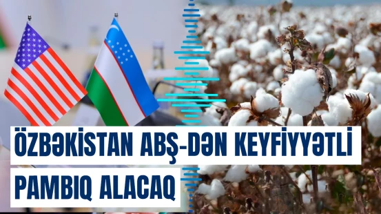 Amerika pambığı özbək tekstil sənayesinə gəlir | Yeni dövr başlayır