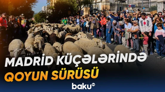 Mənzil etirazı Madriddə əsrlik köç ənənəsinin marşrutunu dəyişib
