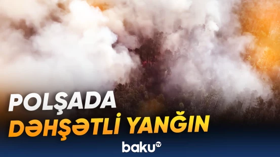 Yüzlərlə yanğınsöndürən meşə yanğınları ilə mübarizə aparır