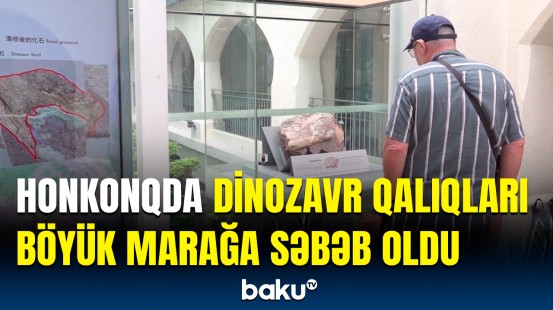 İnsanların axın etdiyi məkan – Tarixi tapıntı sayılan dinozavr qalıqlarının görüntüsü