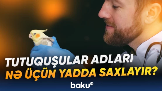 89 növə aid 1202 quş haqqında məlumat toplanıb