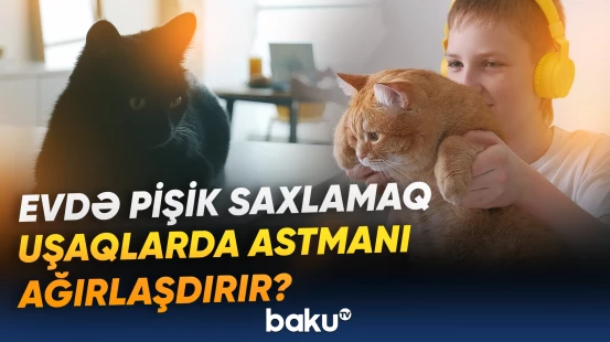 30 mindən çox pasiyent üzərində araşdırma aparıldı