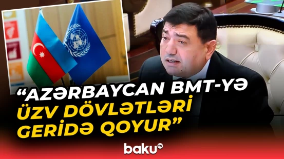 Almaniyanın bir sıra vilayətlərində konsulluqlarımız açıla bilər