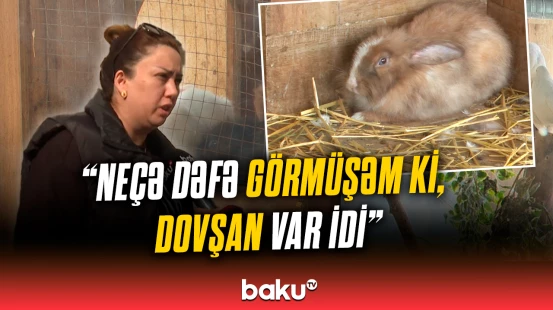 "Kolorit" restoranında heyvanların qanunsuz saxlanıldığı aşkarlanıb