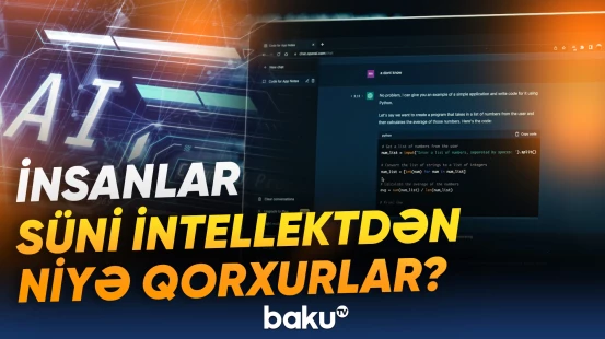 İstifadəçilər arasında süni intellektlə bağlı sorğu