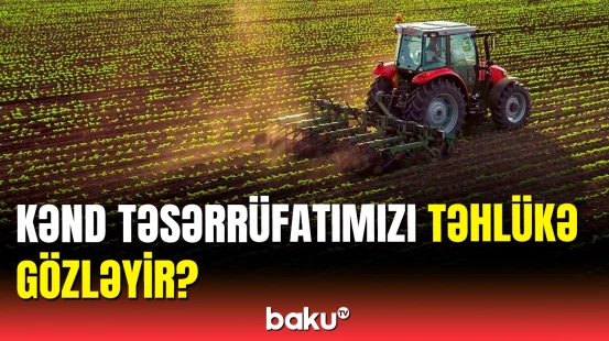 Millət vəkilindən mühüm açıqlama