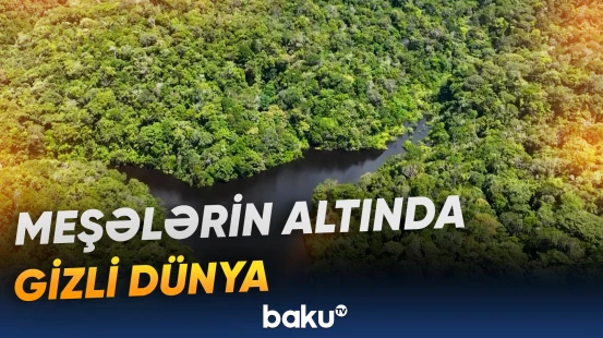 Cəngəlliklərdə qədim sivilizasiyanın izləri tapıldı