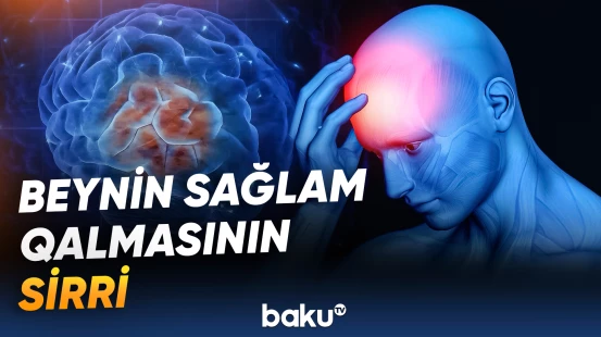 Alimlər ünsiyyətin vacibliyini açıqladı