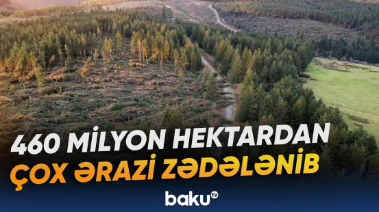 Meşələrin vəziyyəti ilə bağlı açıqlanan rəqəmlər hansı mənzərəni ortaya qoyur?