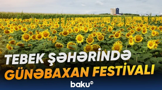 “Belə bir məkanımızın olmasına çox şadam” | Cənubi Koreyada festival