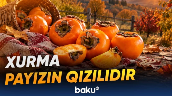 Meyvənin faydaları və istehlakında diqqət edilməli məqamlar
