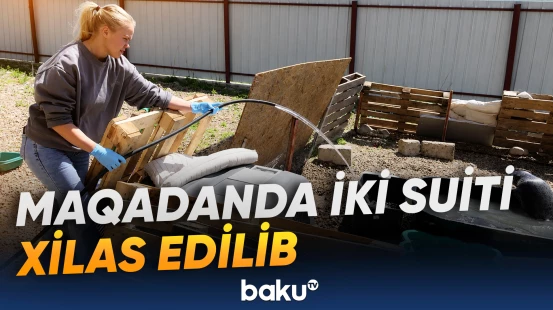 “Onları yenidən dənizə buraxacağıq” | Təlimçi