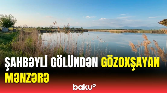 Ağsudan görüntülər | Şahbəyli gölünün mənzərəsi